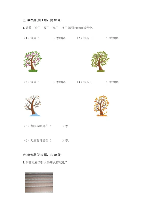 教科版科学二年级上册期末测试卷（全国通用）.docx