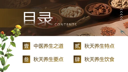 老人秋季养生，中医养生馆PPT模板