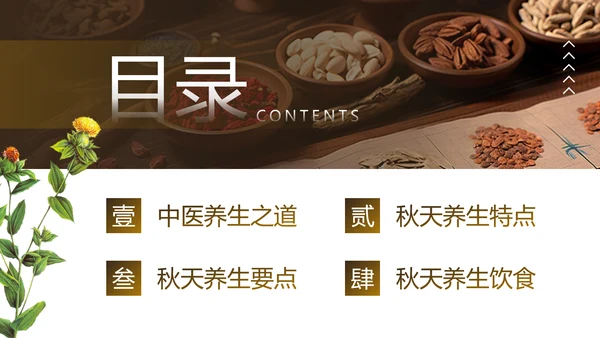 老人秋季养生，中医养生馆PPT模板
