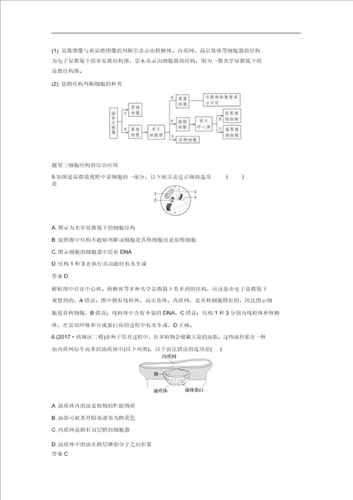 浙江选考2020版高考生物一轮总复习第一单元细胞的分子组成与结构第4讲细胞质与细胞核学案97