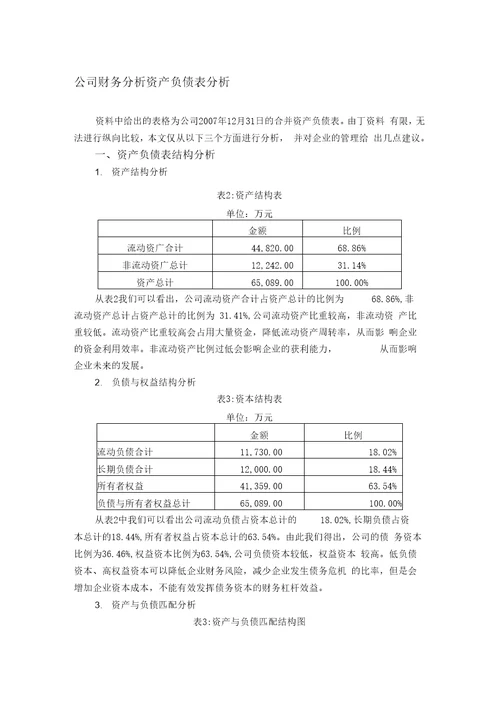 公司财务分析范文之资产负债表分析