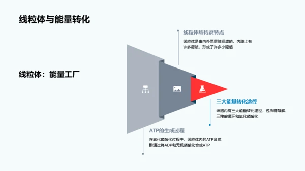 蓝色细胞结构和功能介绍PPT模板