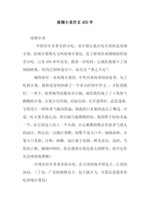 南翔小龙作文450字.docx