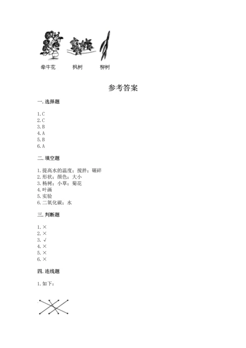 教科版科学一年级上册第一单元《植物》测试卷附答案【典型题】.docx