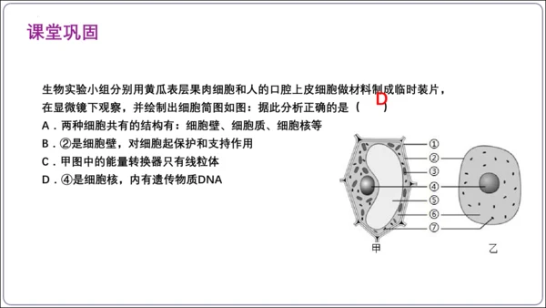 【2023秋人教七上生物期中复习考点梳理串讲+临考押题】第一章 细胞是生命活动的基本单位（串讲课件）