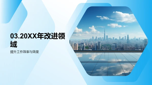 20XX年度绩效与挑战