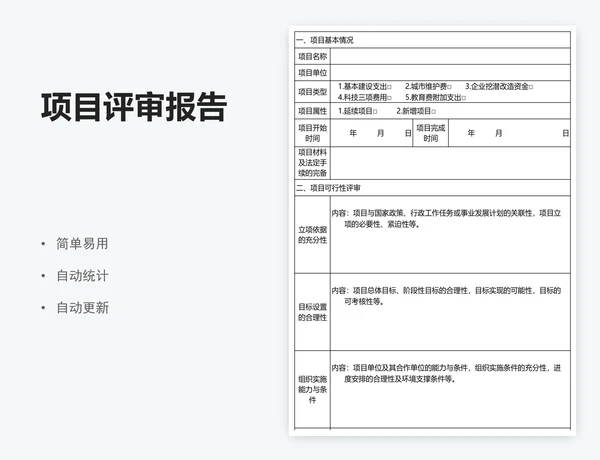 项目评审报告