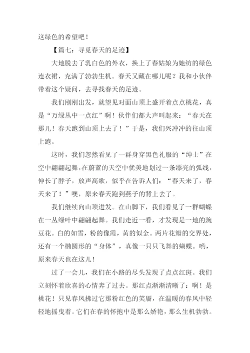 寻觅春天的足迹作文600字.docx