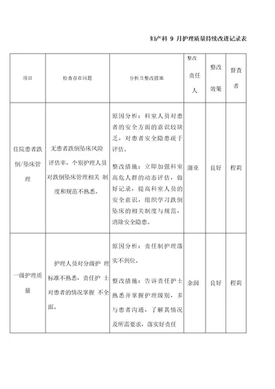 持续改进记录表