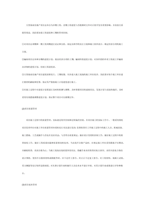 大型商业房地产项目如何操作.docx