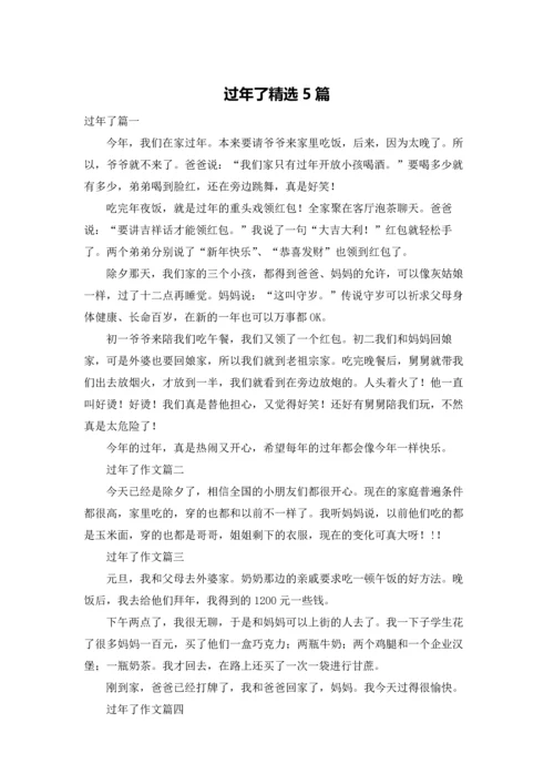 过年了精选5篇.docx