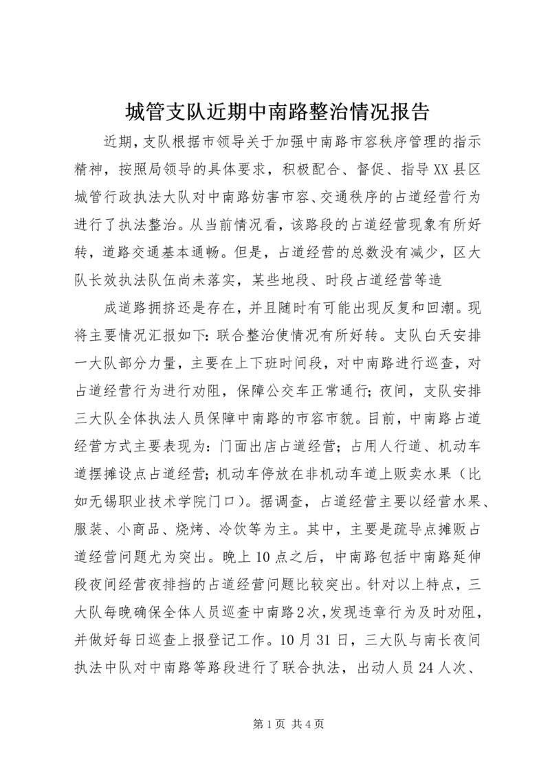 城管支队近期中南路整治情况报告 (5).docx