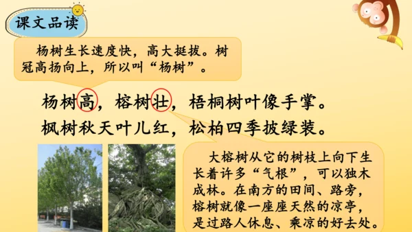 识字2 树之歌  课件