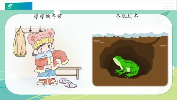 一年级道德与法治上册：第十三课 美丽的冬天 课件（共29张PPT）
