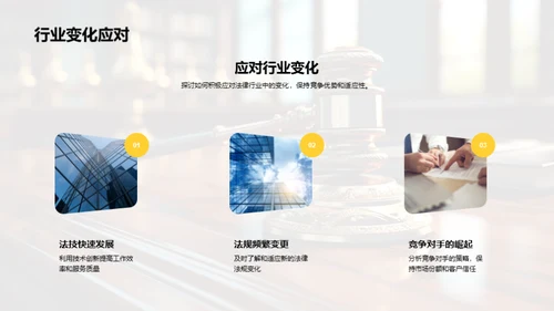 法律领域年度总结
