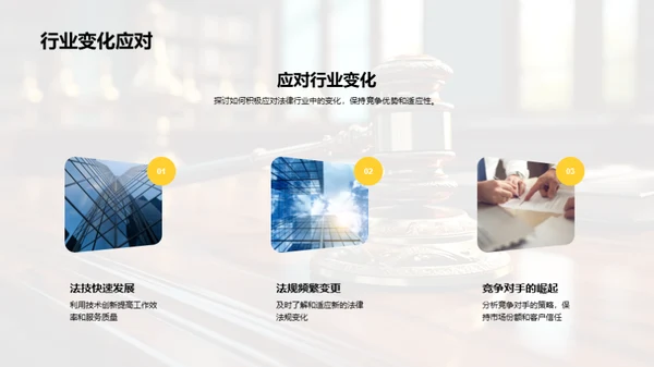 法律领域年度总结