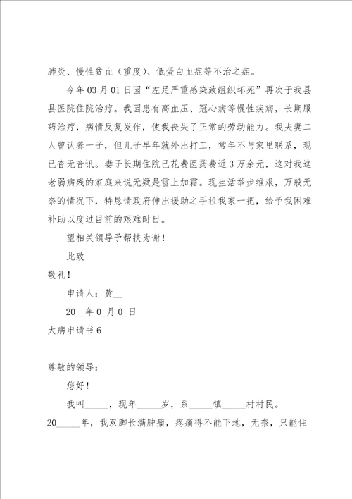 大病申请书15篇