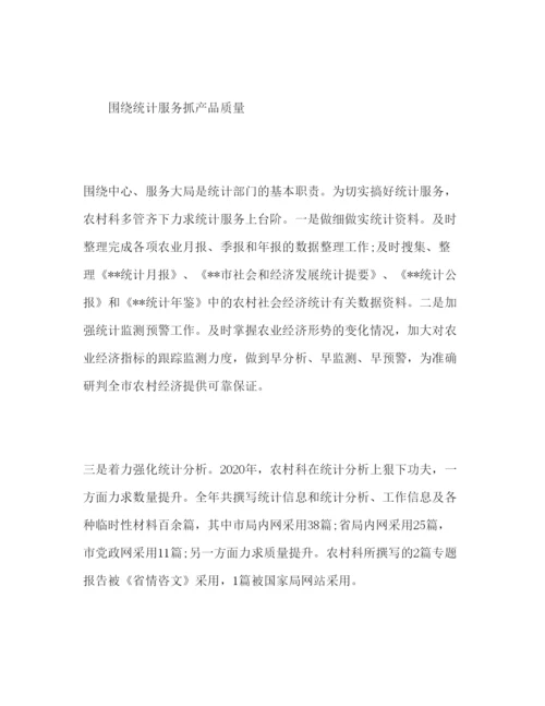 精编年市农村统计工作报告范文.docx