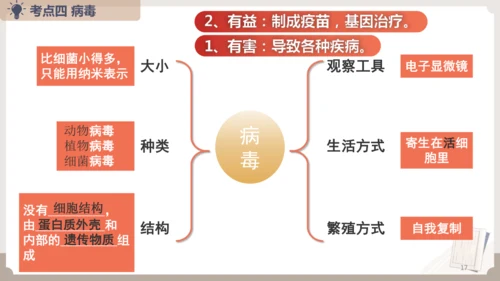 人教版生物八年级上册2.3 细菌、真菌和病毒 本章复习课件(共23张PPT)+视频素材