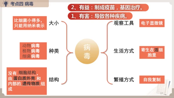 人教版生物八年级上册2.3 细菌、真菌和病毒 本章复习课件(共23张PPT)+视频素材