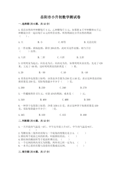 岳阳市小升初数学测试卷及一套参考答案.docx