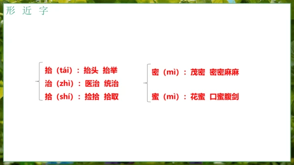 5我变成了一棵树   课件