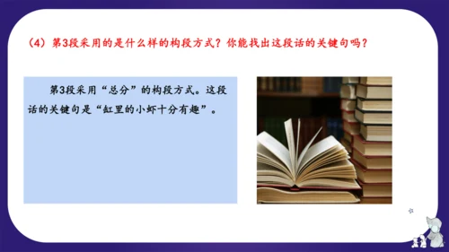 统编版三年级语文下学期期中核心考点集训第四单元（复习课件）