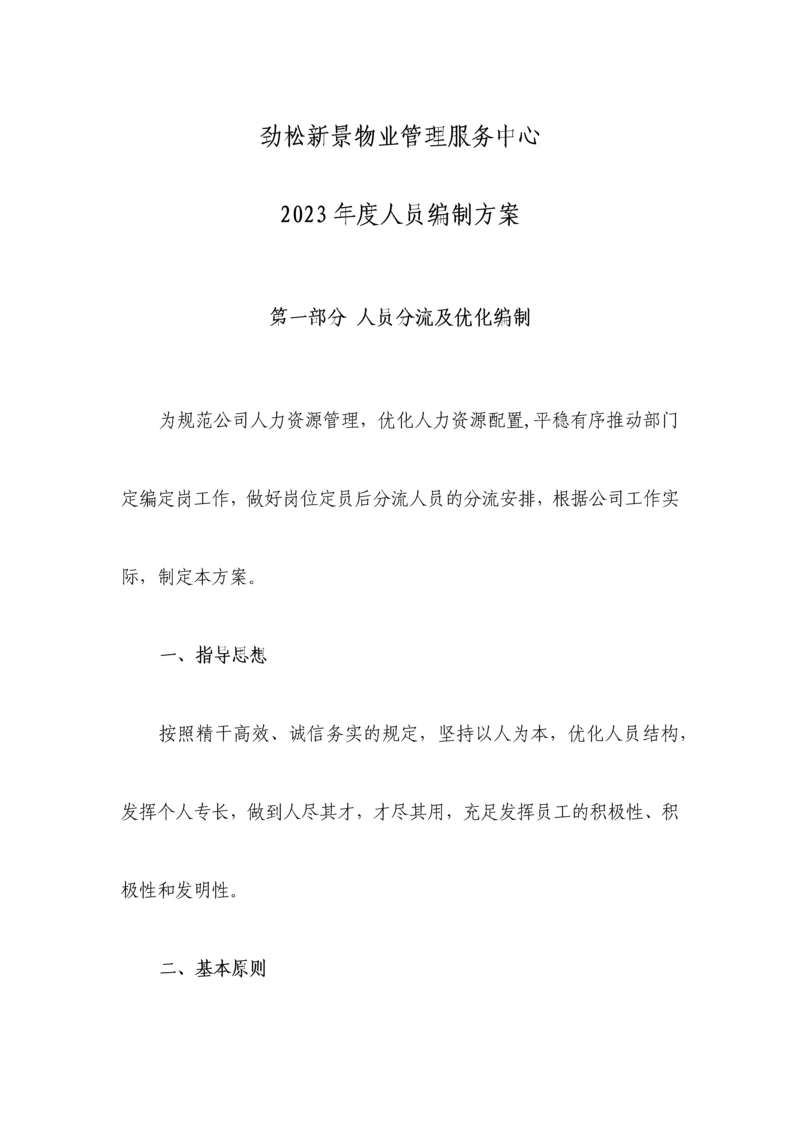 人员编制优化方案.docx