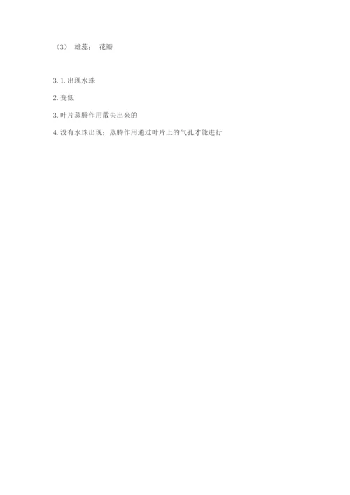 科学四年级下册第一单元《植物的生长变化》测试卷（夺冠）.docx