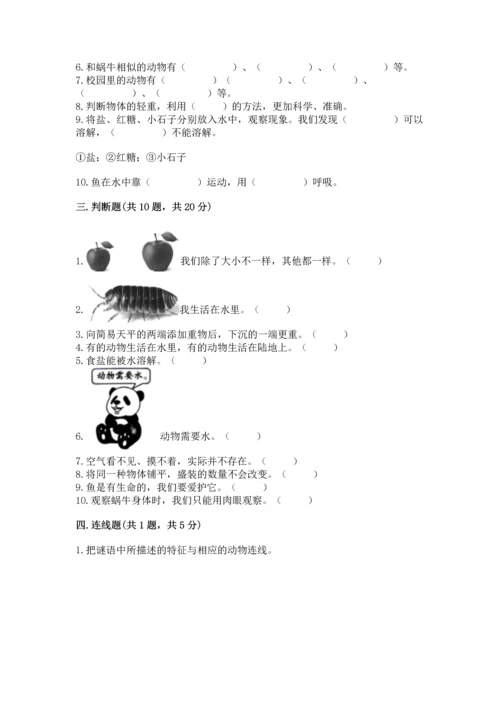 教科版一年级下册科学期末测试卷附参考答案（考试直接用）.docx