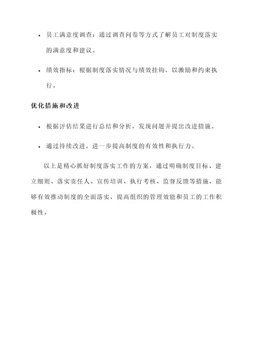 精心抓好制度落实工作方案