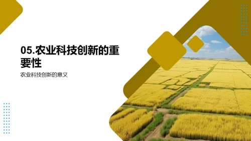农科创新之光