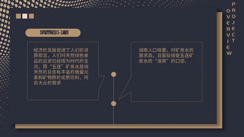 高端质感大气项目融资计划通用PPT模板
