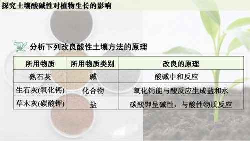 跨学科实践活动9  探究土壤酸碱性对植物生长的影响课件(共33张PPT)