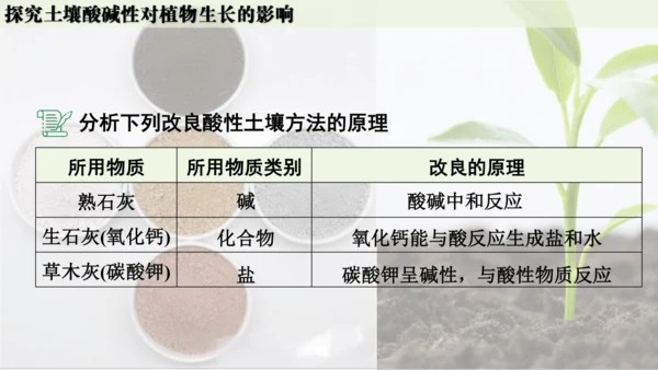 跨学科实践活动9  探究土壤酸碱性对植物生长的影响课件(共33张PPT)