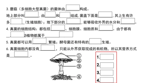 人教版生物八年级上册期末考试知识点汇总（课件）(共28张PPT)