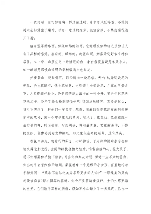 优美抒情散文欣赏 初中生写的抒情散文欣赏