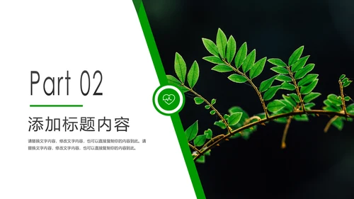 绿色唯美植物生长敬畏生命发芽PPT模板