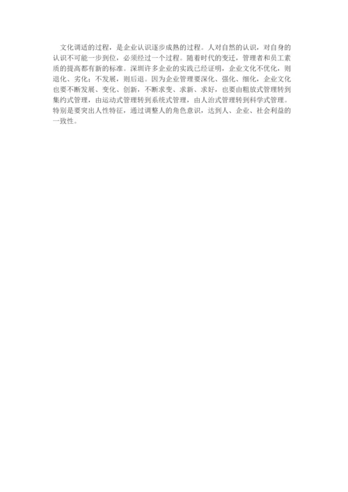 企业发展过程的文化调适.docx