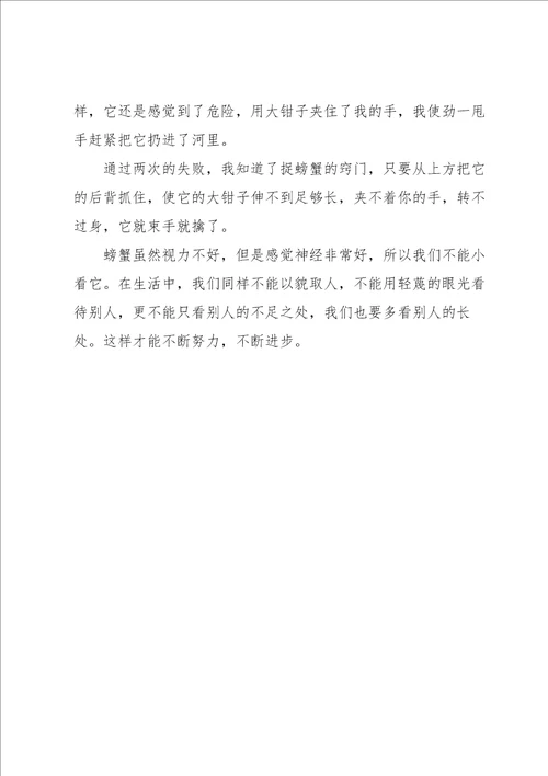 关于小学周记模板锦集六篇