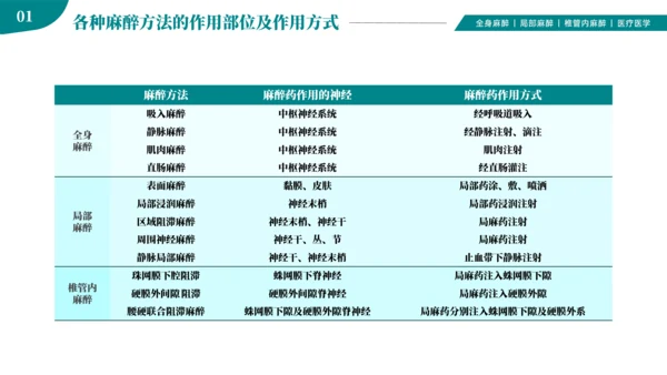 麻醉医师科普医疗手术医学知识培训ppt模板