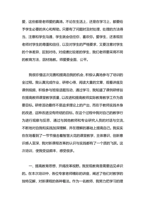 初中地理网络研修总结.docx