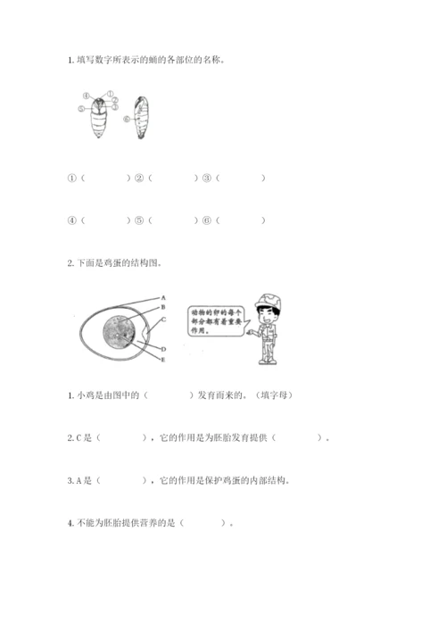 教科版科学三年级下册期末测试卷精品【基础题】.docx