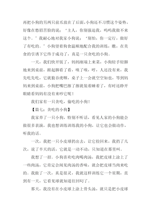 贪吃的小狗作文-2.docx