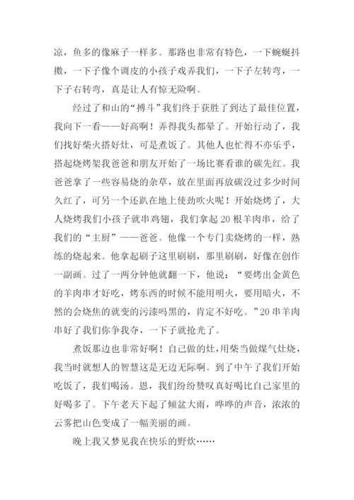 关于野炊的作文.docx
