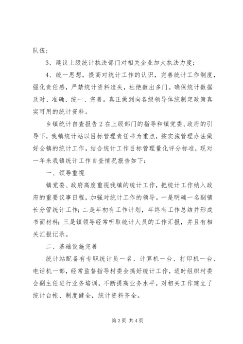 乡镇统计自查报告.docx