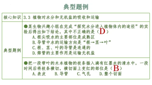 第三单元 植物的生活（单元复习课件）2023-2024学年七年级生物上册同步精品课件（人教版）(共3