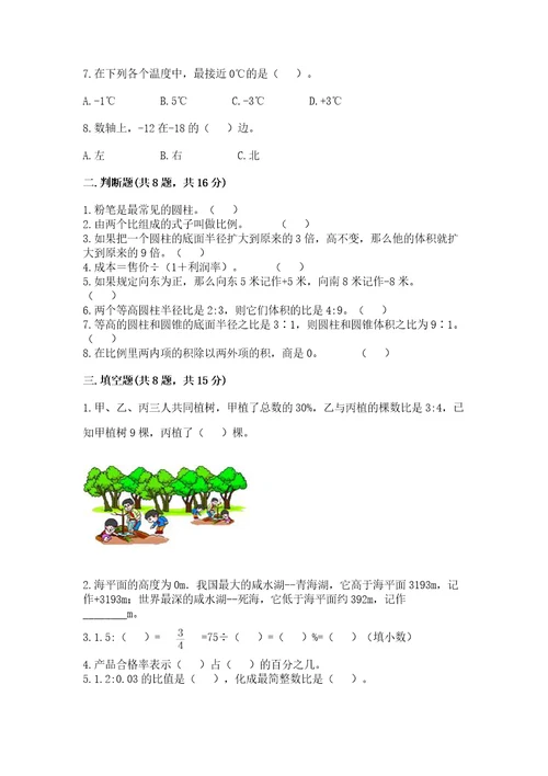 小学升初中的数学试卷含答案（达标题）