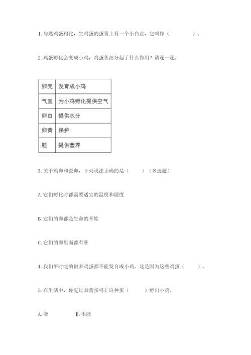 教科版科学三年级下册期末测试卷（夺冠系列）.docx