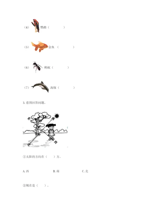 教科版小学二年级上册科学期末测试卷含完整答案（考点梳理）.docx